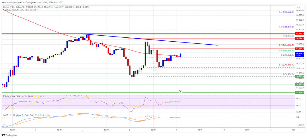 Can Bulls Overcome Resistance for a Recovery?