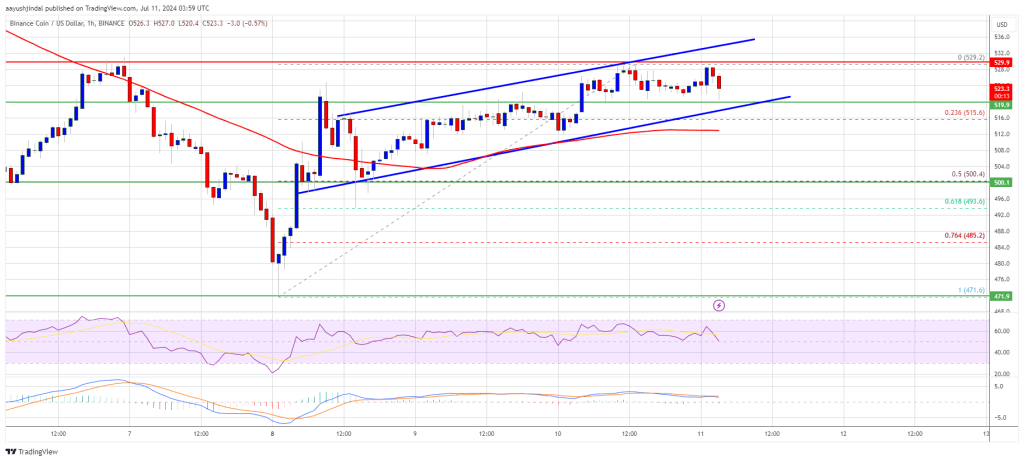 BNB Price Steadies Above Support: Is a Bullish Comeback on the Horizon?