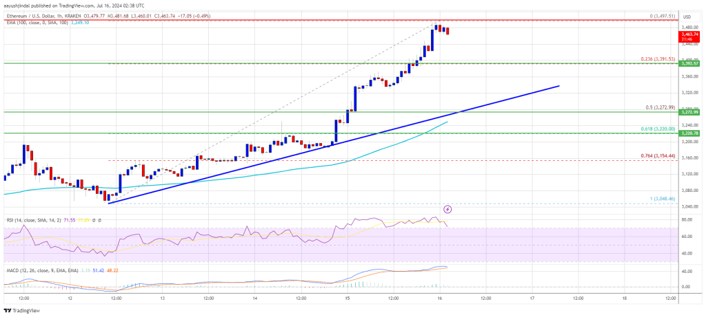 Can Bulls Ignite a Higher Surge?